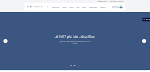 جمعية القرى للبر والخدمات الانسانية بالأطاولة (لقطة شاشة للموقع)