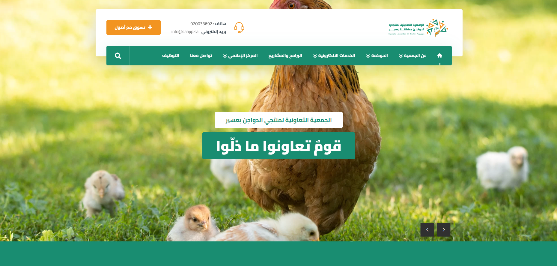 الجمعية التعاونية لمنتجي الدواجن بعسير (لقطة شاشة للموقع)