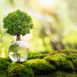 كيف تختار منصة التبرع الأنسب لجمعيتكم (سلة، زد، أو منصة خاصة)؟